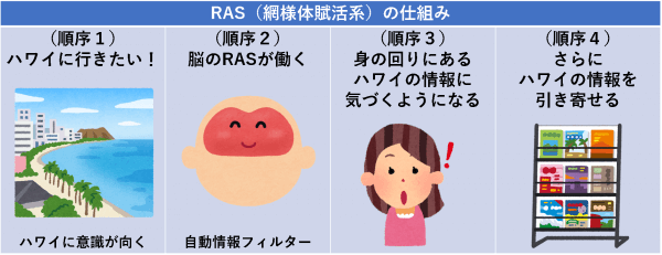 RAS（網様体賦活系）の仕組み